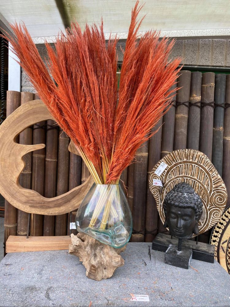 Pampas pluimen 105 cm Dark orange
